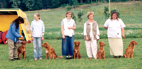 Zonta, rni, Chili, zzi och mamma Okra