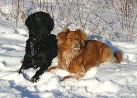 Pasta & Freja