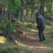 Tuva kollar in skramlet