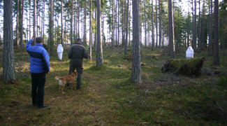 Tuva kollar in spkena