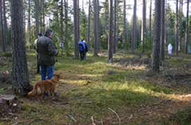 Molly backar bakt och stller sig hos husse