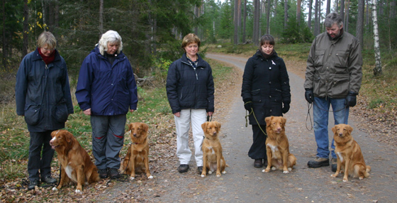 Pysen, Molly, Tuva, Theo och Donna