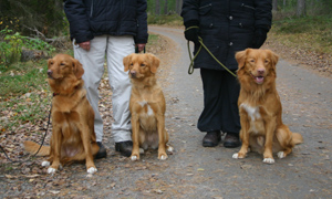 Molly, Tuva och Theo