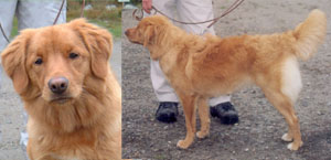 Tuva